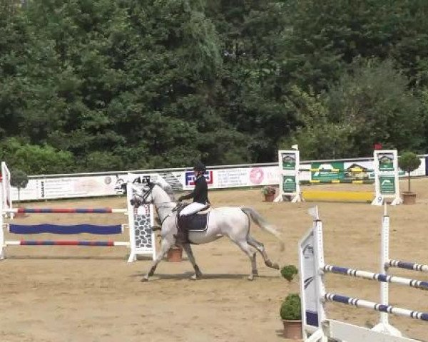 Reit- und Springturnier RSV Püttlingen 2014