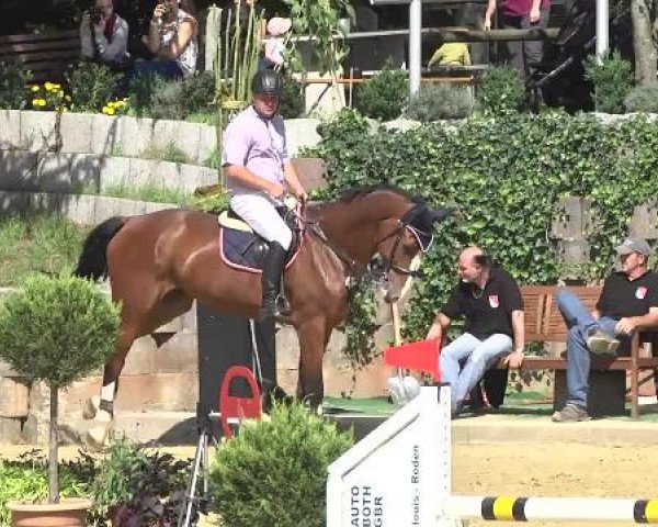 Reit- und Springturnier RSV Püttlingen 2014