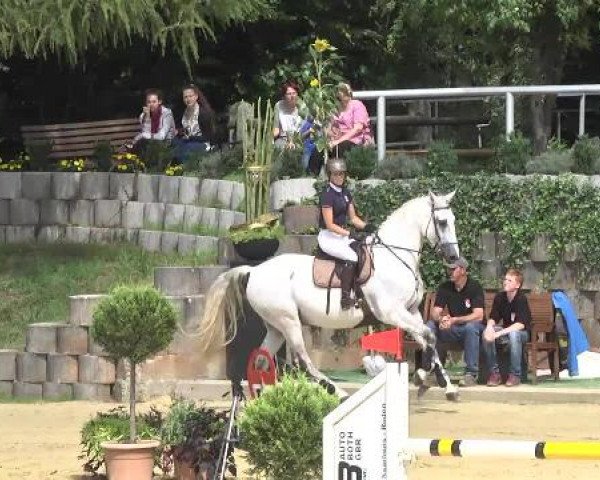 Reit- und Springturnier RSV Püttlingen 2014