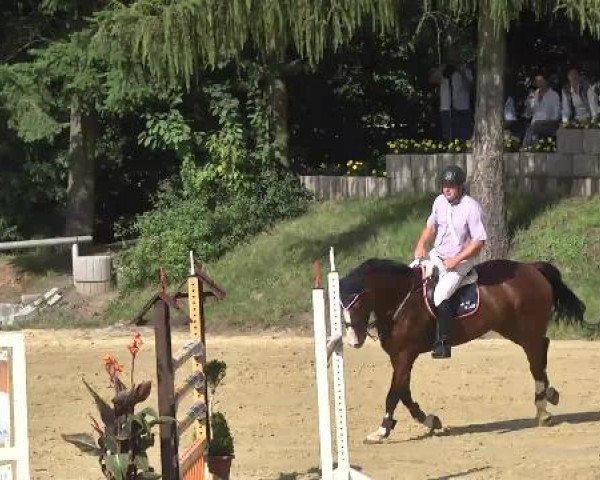 Reit- und Springturnier RSV Püttlingen 2014