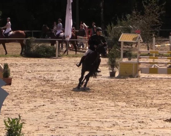 Springturnier Neunkirchen-Salchendorf 2014