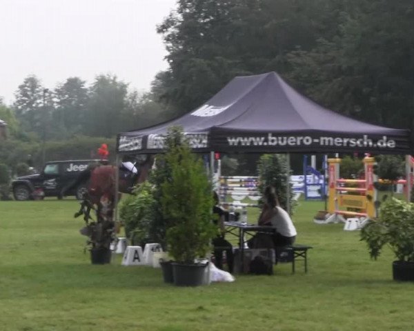 Dressur- und Springturnier Rheine-Wadelheim 2014