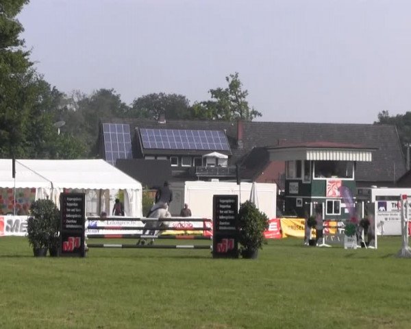 Dressur- und Springturnier Rheine-Wadelheim 2014