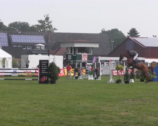 Dressur- und Springturnier Rheine-Wadelheim 2014