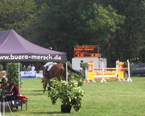 Dressur- und Springturnier Rheine-Wadelheim 2014