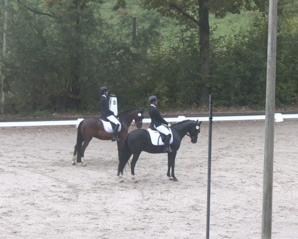 Reitturnier Düsseldorf - Uhlenhof 2025