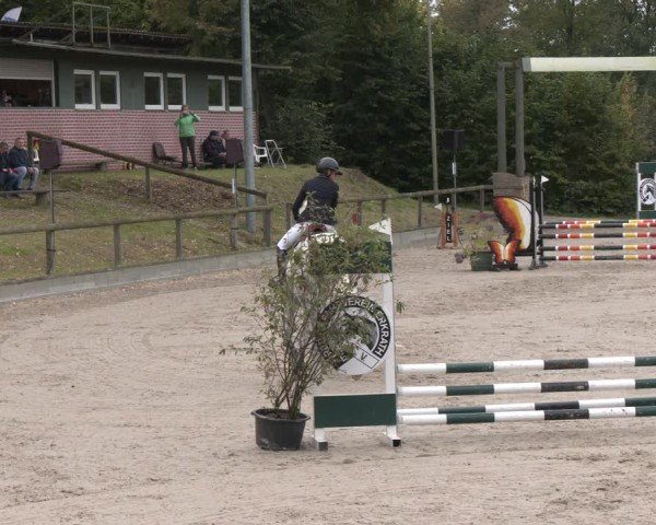 Reitturnier Düsseldorf - Uhlenhof 2025