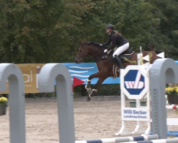 Reitturnier Düsseldorf - Uhlenhof 2025