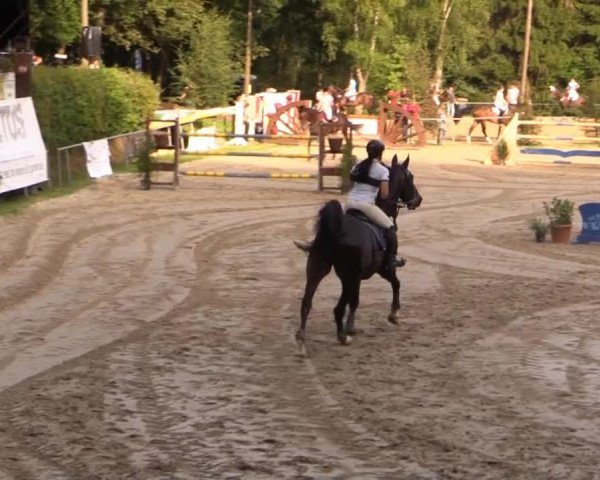 Springturnier Neunkirchen-Salchendorf 2014