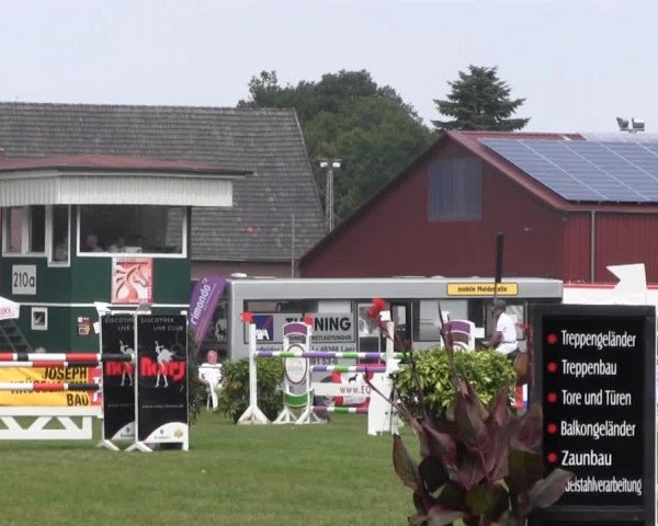 Dressur- und Springturnier Rheine-Wadelheim 2014