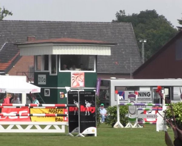 Dressur- und Springturnier Rheine-Wadelheim 2014