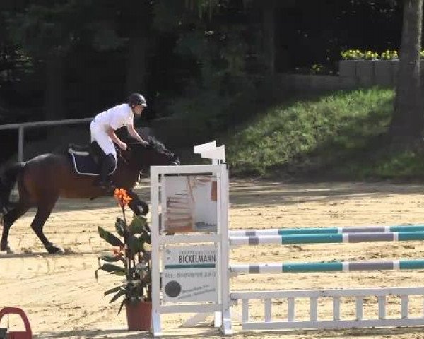 Reit- und Springturnier RSV Püttlingen 2014