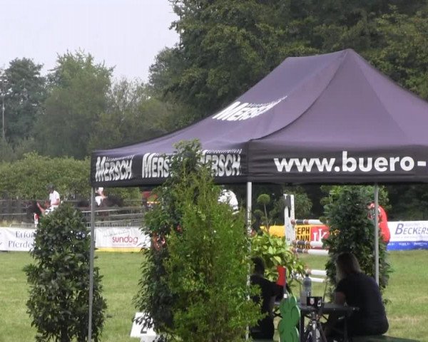 Dressur- und Springturnier Rheine-Wadelheim 2014