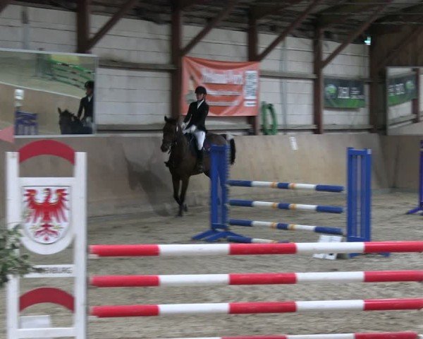 Jezdecký turnaj Elisenau 2025