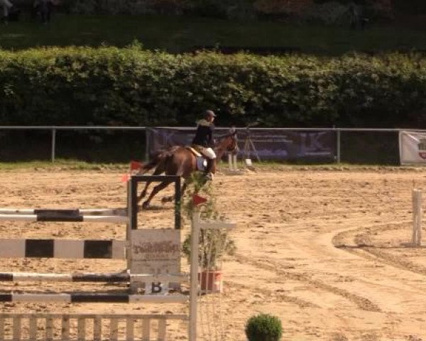 Springturnier Neunkirchen-Salchendorf 2014