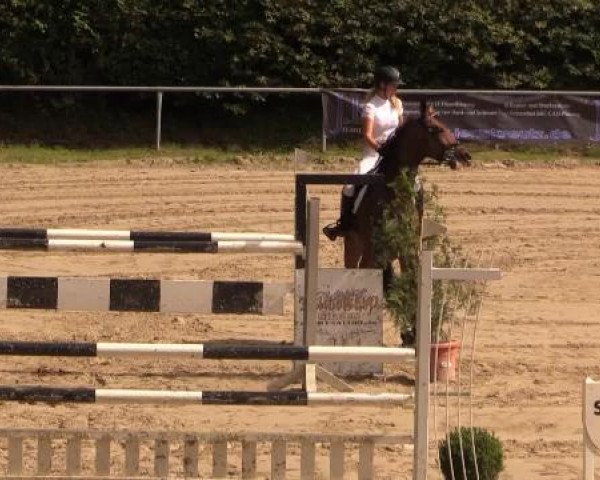 Springturnier Neunkirchen-Salchendorf 2014