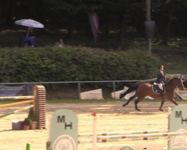 Springturnier Neunkirchen-Salchendorf 2014