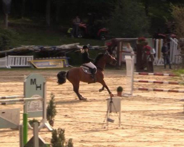 Springturnier Neunkirchen-Salchendorf 2014