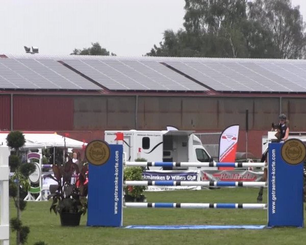 Dressur- und Springturnier Rheine-Wadelheim 2014