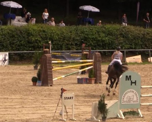 Springturnier Neunkirchen-Salchendorf 2014