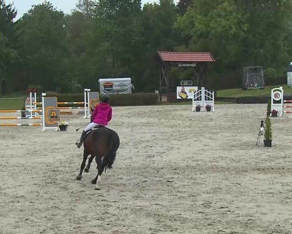 Reitturnier Frankenhof-Sonnefeld/Ofr. 2025