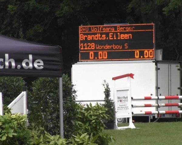 Dressur- und Springturnier Rheine-Wadelheim 2014