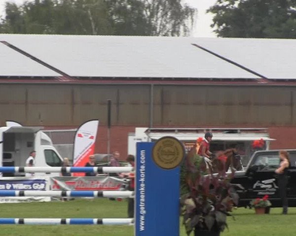 Dressur- und Springturnier Rheine-Wadelheim 2014