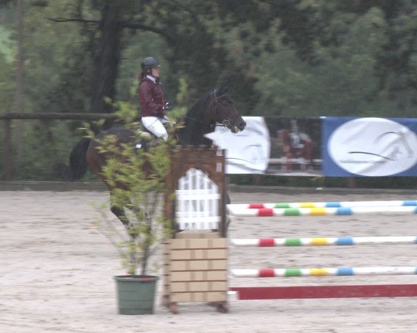 Reitturnier Düsseldorf - Uhlenhof 2025