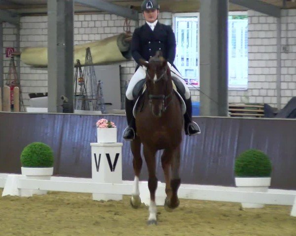 Torneo Equestre Bottrop-Kirchhellen 2025