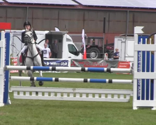 Dressur- und Springturnier Rheine-Wadelheim 2014