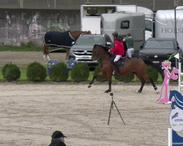 Reitturnier Basel 2025