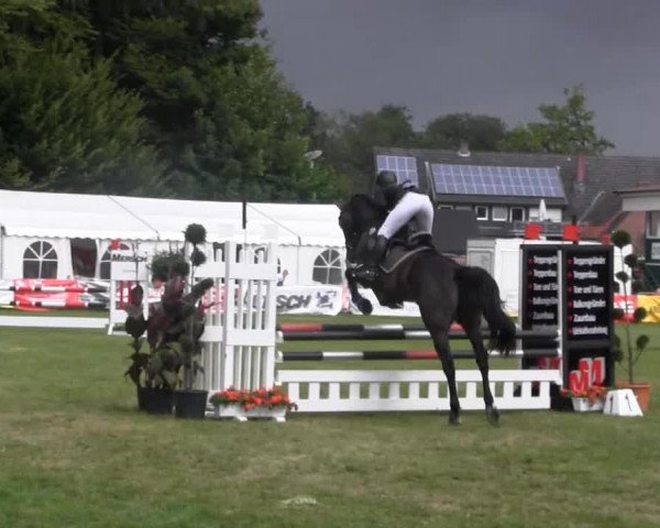 Dressur- und Springturnier Rheine-Wadelheim 2014