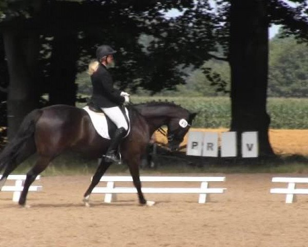 Dressur- und Springturnier Rheine-Wadelheim 2014