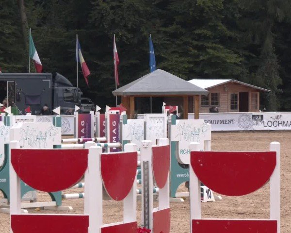 Reitturnier Ranshofen - Braunau am Inn 2025