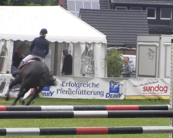 Dressur- und Springturnier Rheine-Wadelheim 2014