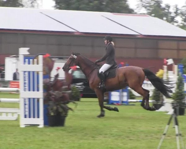 Dressur- und Springturnier Rheine-Wadelheim 2014