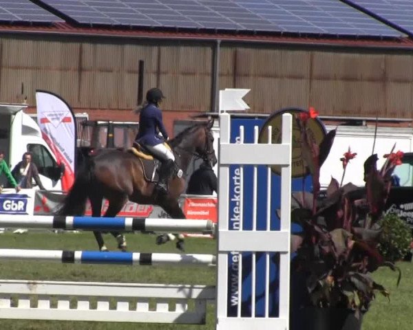 Dressur- und Springturnier Rheine-Wadelheim 2014