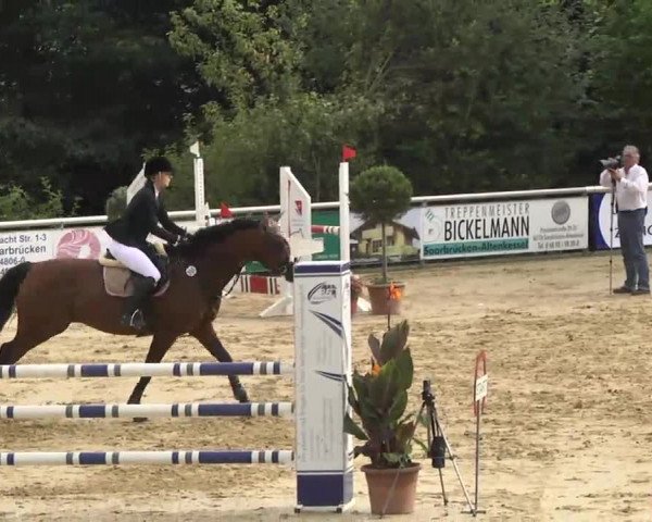 Reit- und Springturnier RSV Püttlingen 2014