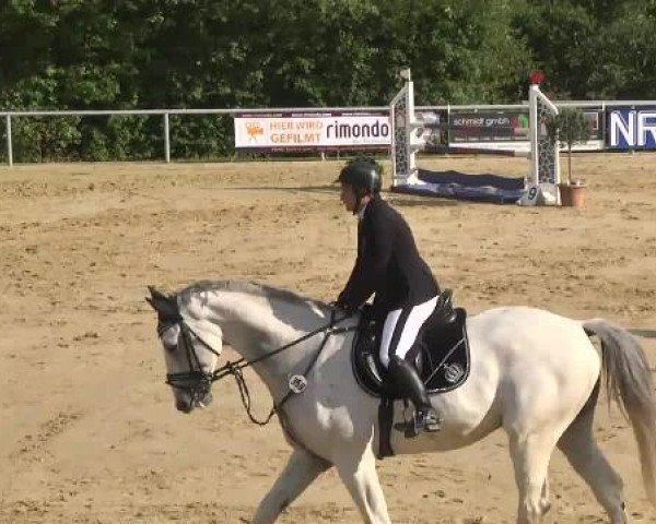 Reit- und Springturnier RSV Püttlingen 2014