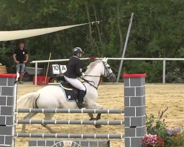 Reit- und Springturnier RSV Püttlingen 2014