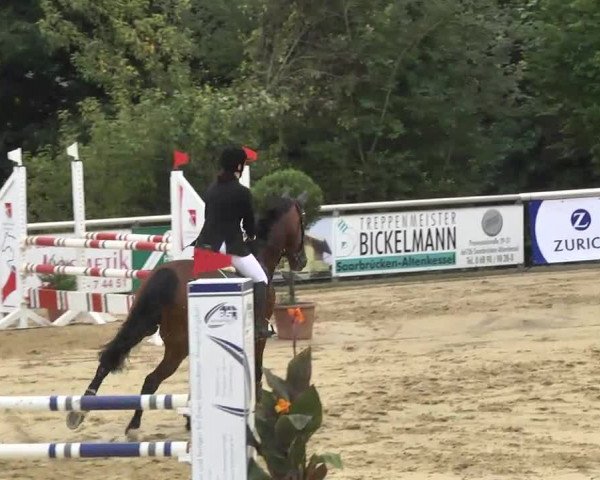 Reit- und Springturnier RSV Püttlingen 2014