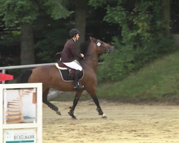 Reit- und Springturnier RSV Püttlingen 2014