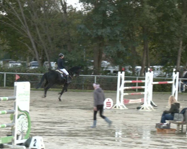 Reitturnier Kamen 2025