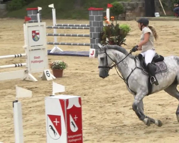 Reit- und Springturnier RSV Püttlingen 2014