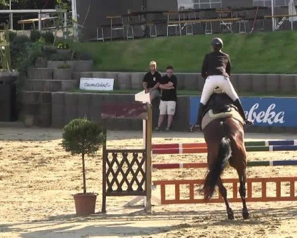 Reit- und Springturnier RSV Püttlingen 2014