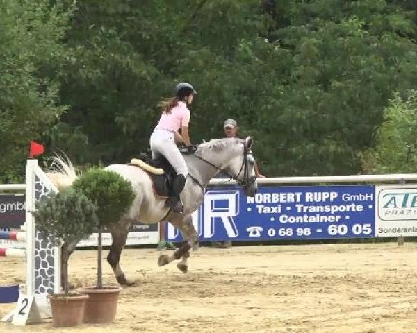 Reit- und Springturnier RSV Püttlingen 2014