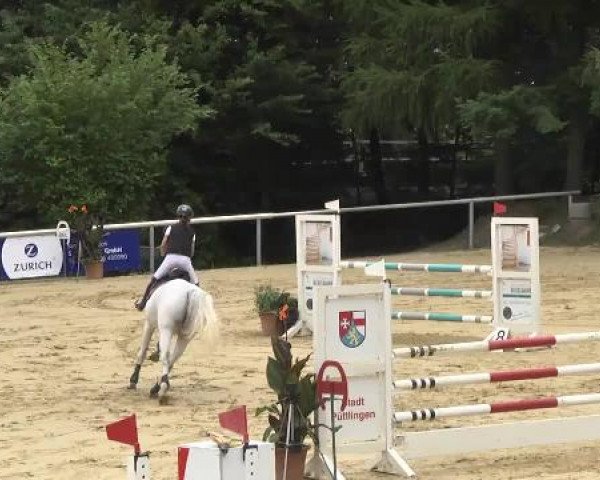 Reit- und Springturnier RSV Püttlingen 2014