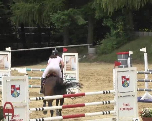 Reit- und Springturnier RSV Püttlingen 2014