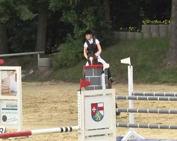 Reit- und Springturnier RSV Püttlingen 2014
