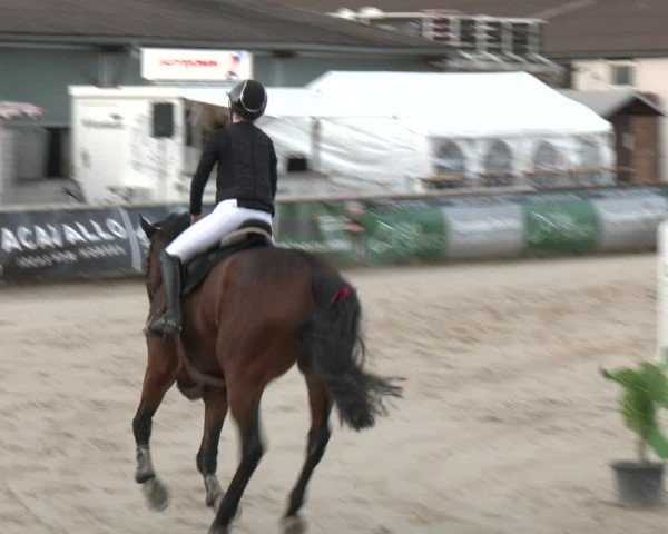 Reitturnier Kamen 2025